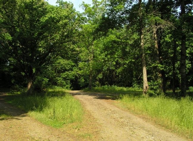 The site of the abandoned Welsh Neck Cemetery. Click for full size. The site of the abandoned Welsh Neck Cemetery image. Click for full size.