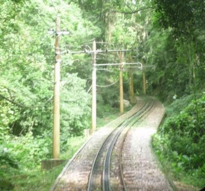 View of the "rack" railway track - from the tram climbing Corcovado image. Click for full size.