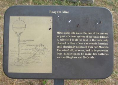 Buoyant Mine Marker image. Click for full size.