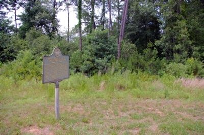 Birthplace of a Confederate Hero Marker image. Click for full size.