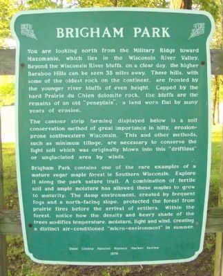 Brigham Park Marker image. Click for full size.