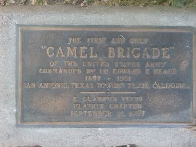Camel Brigade Marker image. Click for full size.