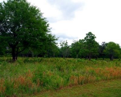 Cowpens. Click for full size. Cowpens image. Click for full size.