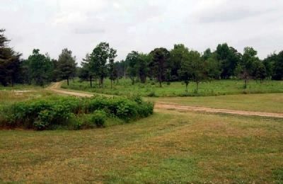 Green River Road Leading West from<br>Scruggs House to Battlefield Site image. Click for full size.