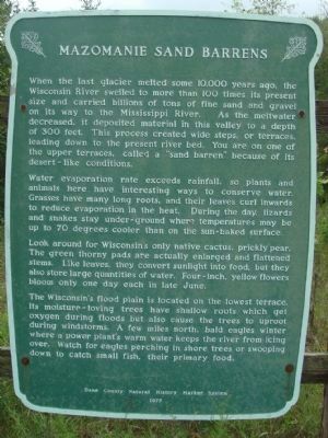 Mazomanie Sand Barrens Marker image. Click for full size.
