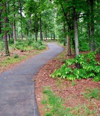 Path Leading Through Woods to<br>Green River Road. Click for full size. Path Leading Through Woods to<br>Green River Road image. Click for full size.