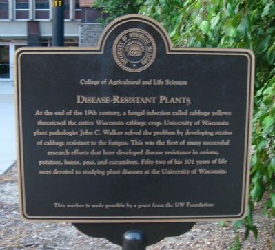 Disease-Resistant Plants Marker. Click for full size. Disease-Resistant Plants Marker image. Click for full size.