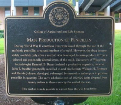Mass Production of Penicillin Marker image. Click for full size.