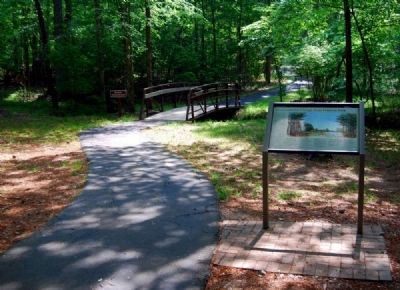 Environmental Change From Forest to Park Marker image. Click for full size.