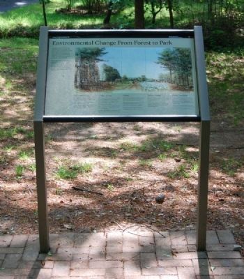 Environmental Change From Forest to Park Marker. Click for full size. Environmental Change From Forest to Park Marker image. Click for full size.