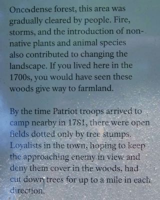 Environmental Change From Forest to Park Marker. Click for full size. Environmental Change From Forest to Park Marker image. Click for full size.