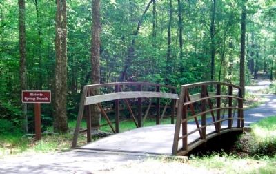 Historic Spring Branch Bridge -<br>Located Near the Environmental Change From Forest to Park Marker image. Click for full size.