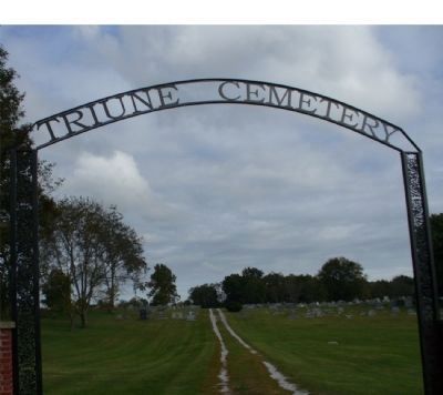 Triune Cemetery Gate image. Click for full size.