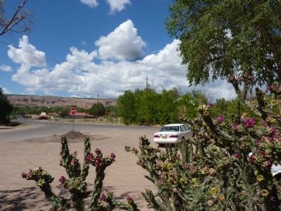 Chimayo Marker - Lies Beyond the Blooming Cholla Cactus image. Click for full size.
