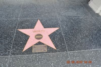 Nearby Award of Excellence Hollywood Star for <i>Variety</i> image. Click for full size.