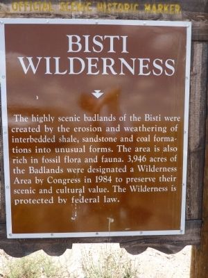 Bisti Wilderness Marker image. Click for full size.