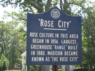 Rose City Marker. Click for full size. Rose City Marker image. Click for full size.