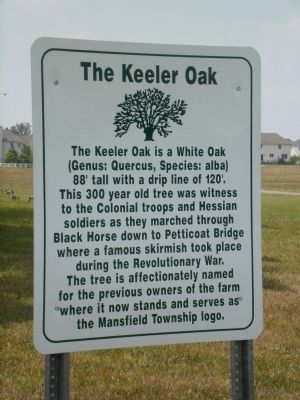 The Keeler Oak Marker image. Click for full size.