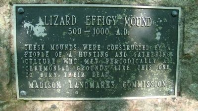 Lizard Effigy Mound Marker image. Click for full size.
