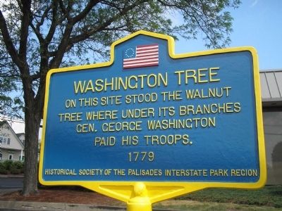 Washington Tree Marker image. Click for full size.