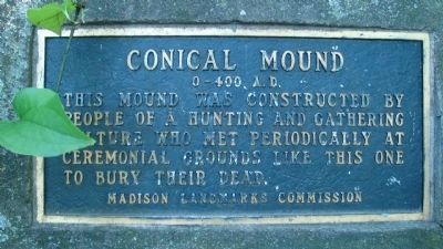 Conical Mound Marker image. Click for full size.