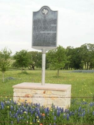 Waul's Texas Legion Campsite Marker with bluebonnets image. Click for full size.
