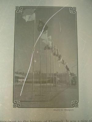 Walkway of Flags. Click for full size. Walkway of Flags image. Click for full size.