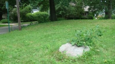 Bear Marker. Click for full size. Bear Marker image. Click for full size.