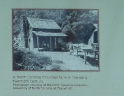 A North Carolina mountain farm in the early twentieth century. image. Click for full size.
