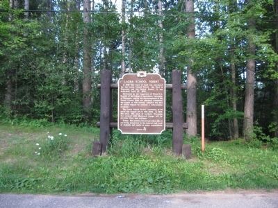 Laona School Forest Marker image. Click for full size.