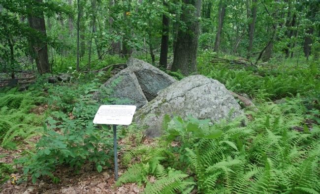 The Rock Itself with Marker in Front image. Click for full size.