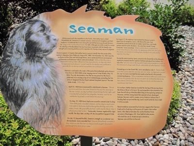Seaman Marker image. Click for full size.