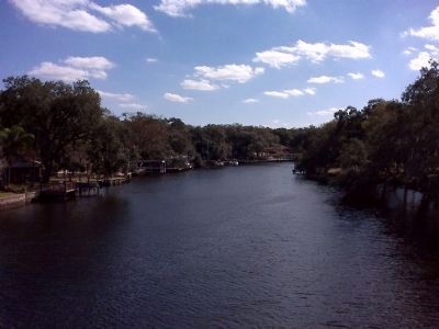 The Hillsborough River image. Click for full size.