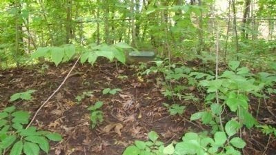Wide View of Indian Burial Mounds Marker. Click for full size. Wide View of Indian Burial Mounds Marker image. Click for full size.