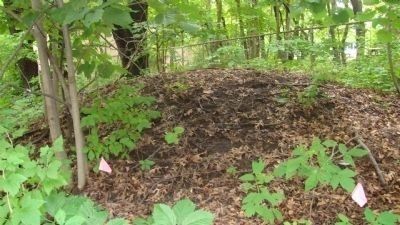 Nearby Mound. Click for full size. Nearby Mound image. Click for full size.