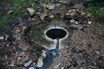 One Of The Seven Springs at Blount Springs image. Click for full size.