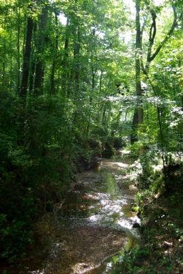 Shiloh Creek. Click for full size. Shiloh Creek image. Click for full size.