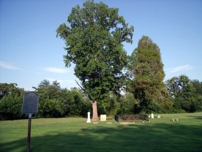 Arthur Lee Family Cemetery. Click for full size. Arthur Lee Family Cemetery image. Click for full size.