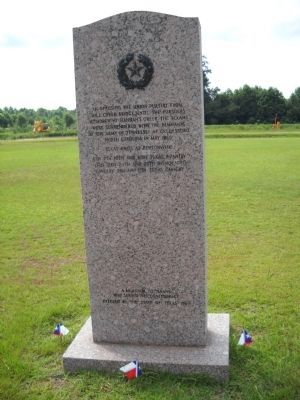 Rear of Texas Marker image. Click for full size.
