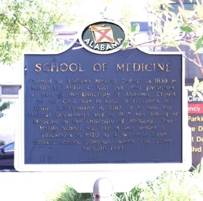 School Of Medicine image. Click for full size.
