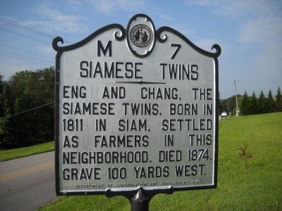 Siamese Twins previous marker at this location image. Click for full size.