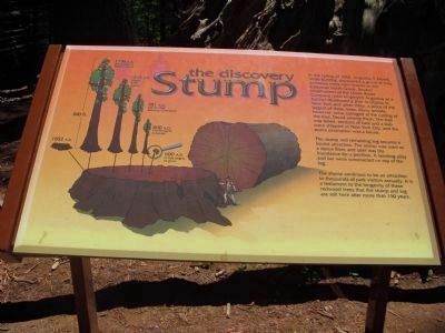 The Discovery Stump Marker image. Click for full size.