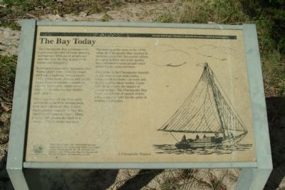 The Bay Today Marker image. Click for full size.