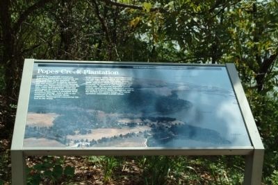 Popes Creek Plantation Marker. Click for full size. Popes Creek Plantation Marker image. Click for full size.