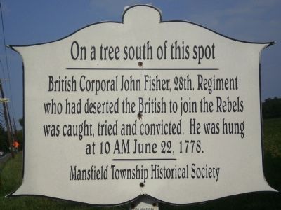 On a tree south of this spot Marker. Click for full size. On a tree south of this spot Marker image. Click for full size.
