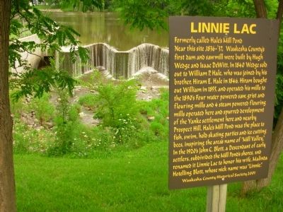 Linnie Lac Marker image. Click for full size.