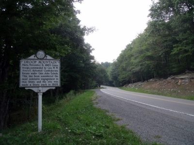 Seneca Trail US Rt 219 (facing south) image. Click for full size.
