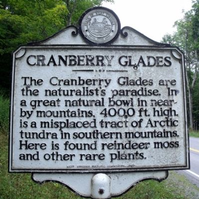 Cranberry Glades Marker. Click for full size. Cranberry Glades Marker image. Click for full size.