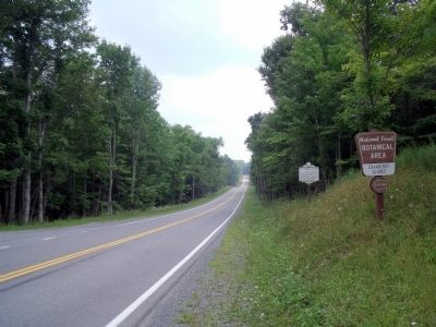 Highland Scenic Hwy (facing east) image. Click for full size.