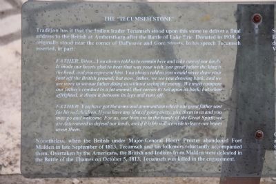 The "Tecumseh Stone" Marker image. Click for full size.